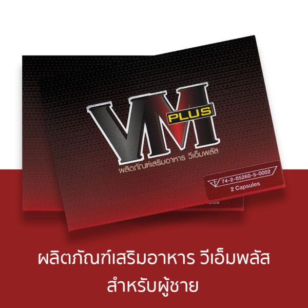 vm plus วีเอ็ม พลัส