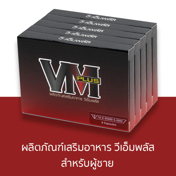 vm plus วีเอ็ม พลัส